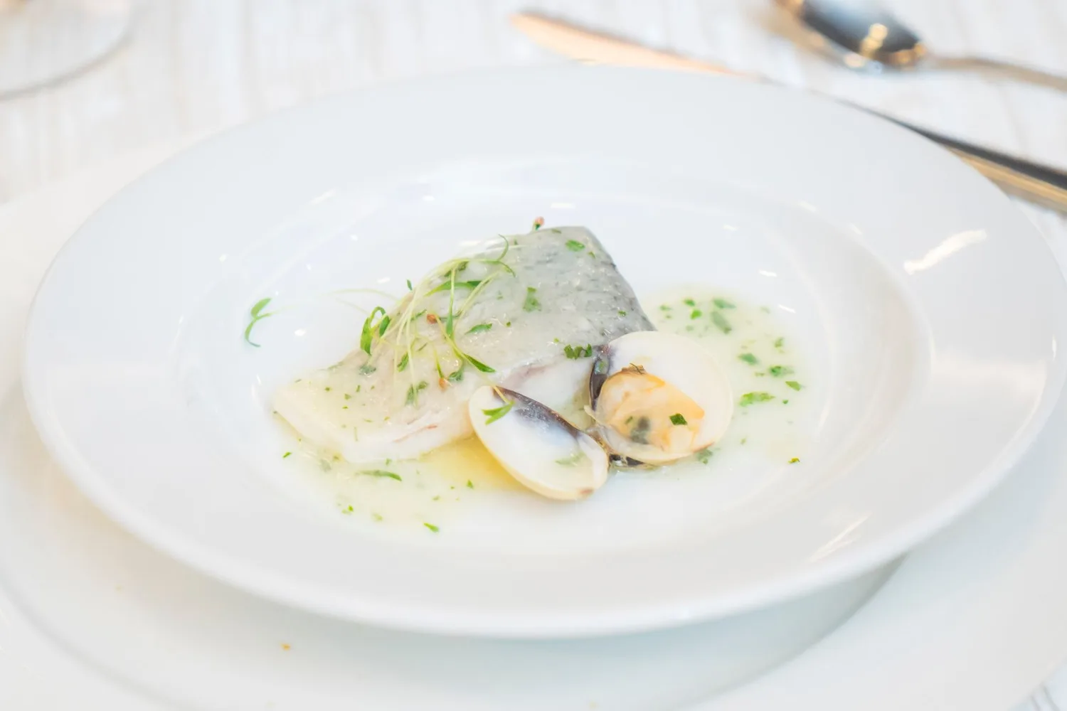 Catch of the day plated by the in-house chef