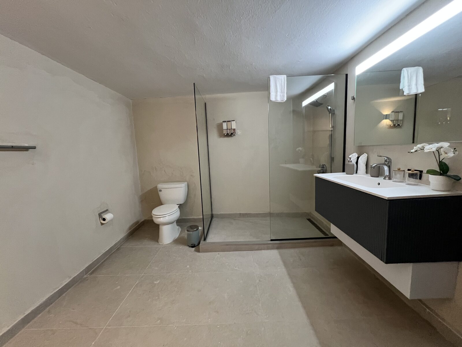 Casita Junior Suite - baño